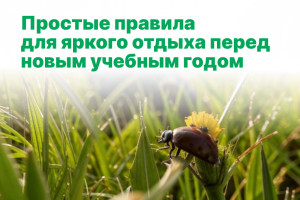 Простые правила для яркого отдыха перед новым учебным годом